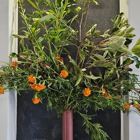 アパート Elegant 406 Family