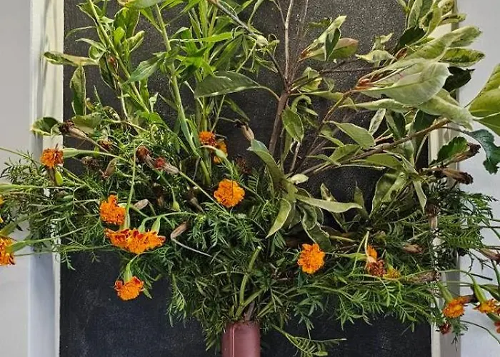 アパート Elegant 406 Family